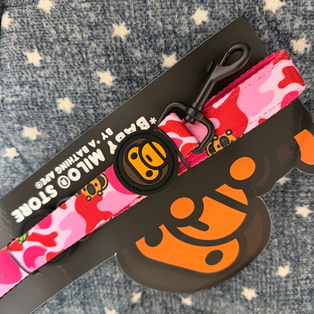 강아지 베이프 리드줄 bape