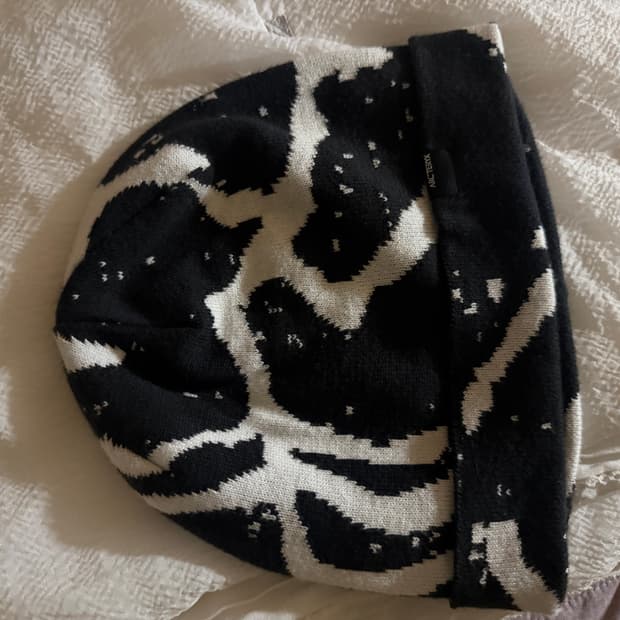 아크테릭스 비니