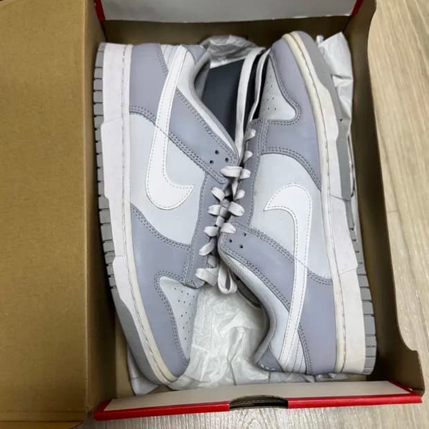 나이키 덩크 270