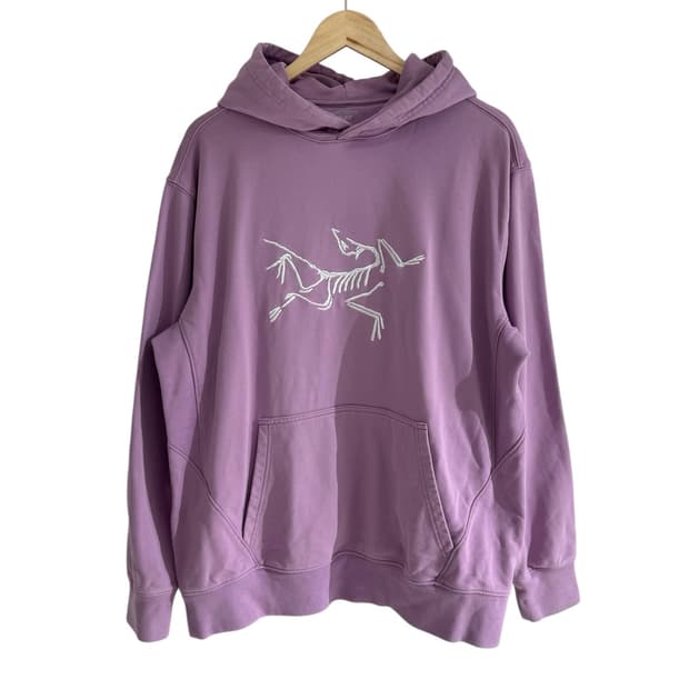 아크테릭스 X 팔라스 후드 헤이즈