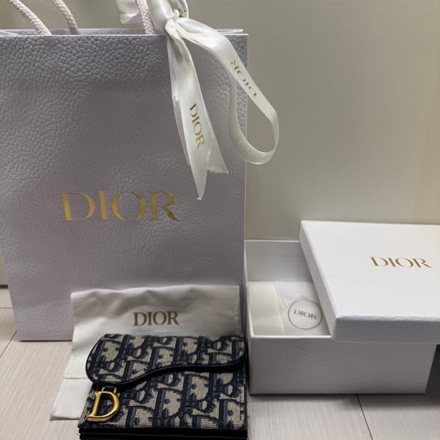 디올 오블리크 새들 지갑