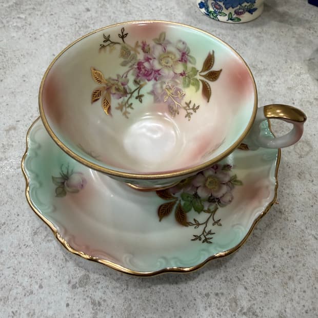 독일 바바리아(Bavaria)와일드 로즈 블러시 빈티지 찻잔 소서 세트