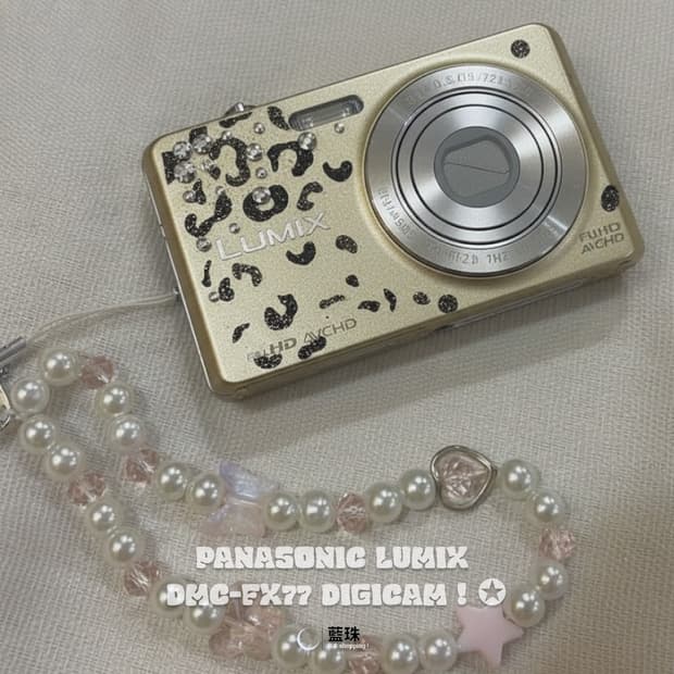 파나소닉 루믹스 DMC-FX77  빈티지 디카 골드 레오파드 커스텀