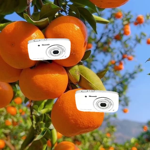 츄 디카&라이카!) Leica x Panasonic S2 카메라