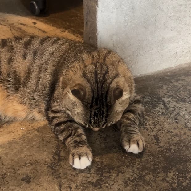 qwer님 개인결제