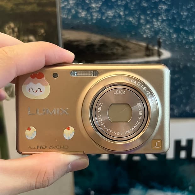 파나소닉 루믹스 FX80 판매합니다