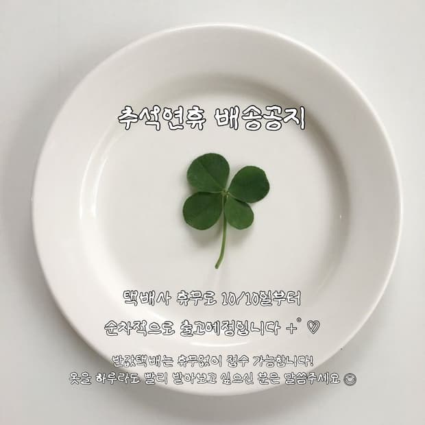 추석 배송공지 +ﾟ*♡̷̷*.