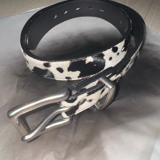 엑슬림 송치 벨트