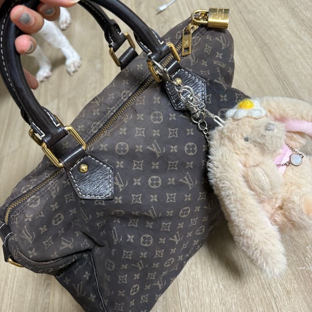 루이비통 이딜/미니린 캔버스 빈티지