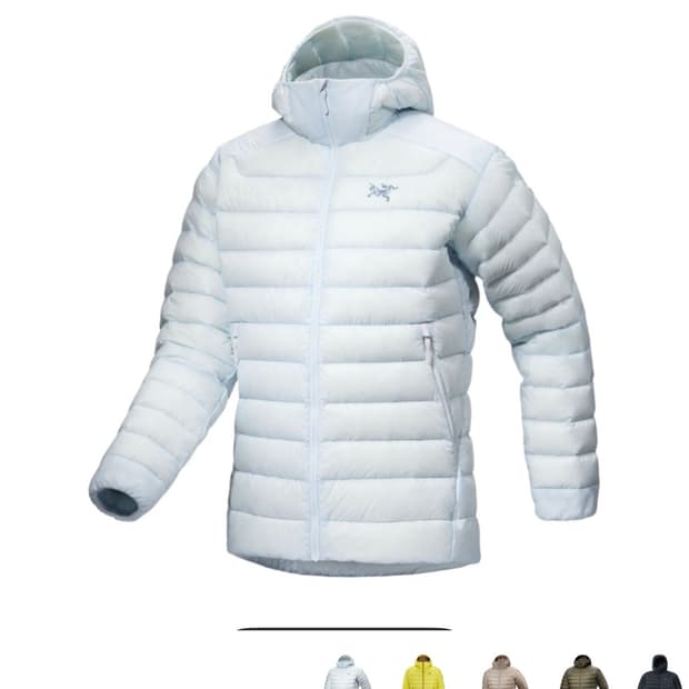 아크테릭스 세륨 후디 데이브레이크