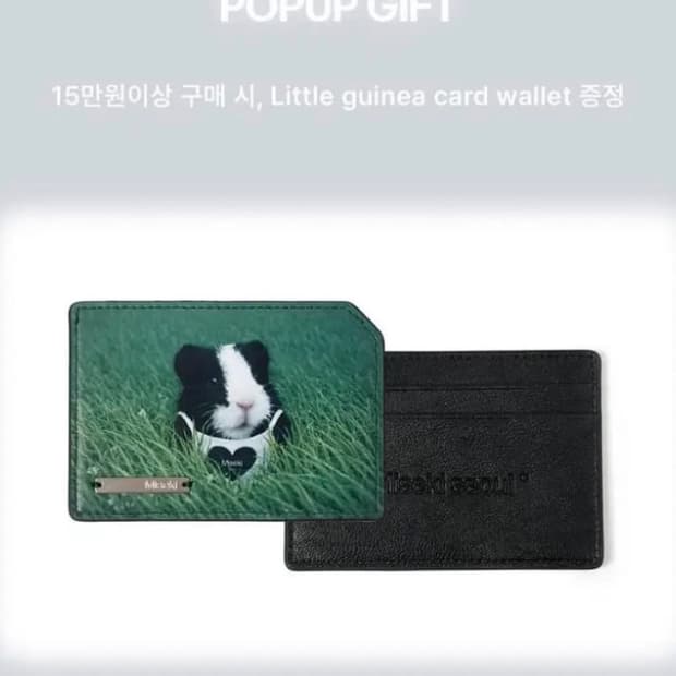 미세키 서울 Grass guinea card holder wallet