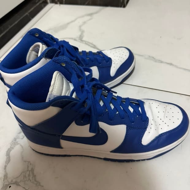 나이키 덩크 게임로얄 270