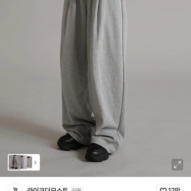 트레이닝 핀턱 와이드 팬츠 그레이 M