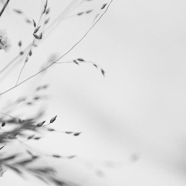 fufufufu77님 결제창