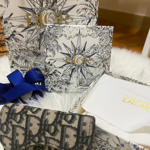 디올 오블리크 새들 카드지갑