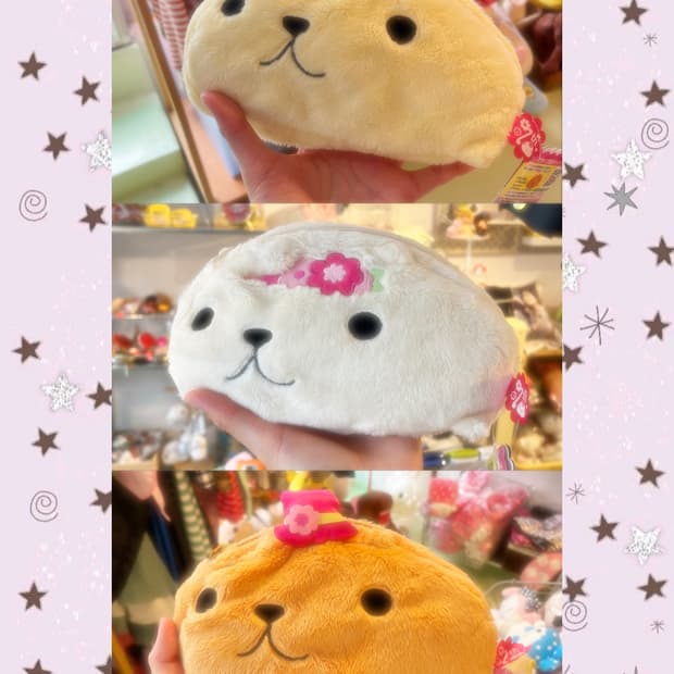 카피바라상 파우치🎵