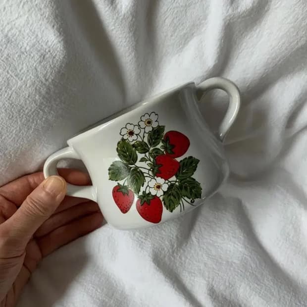 빈티지 스트로베리 양손습볼 