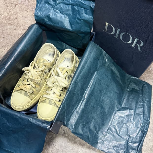 디올 오블리크 b23 37