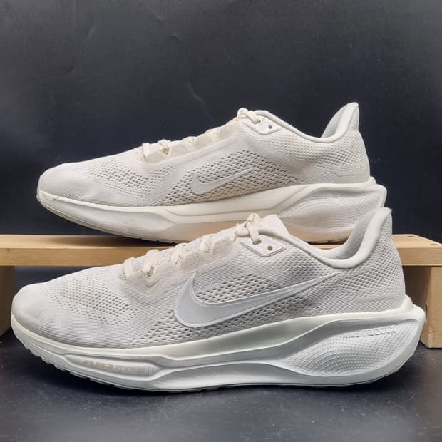 나이키 페가수스41 남성런닝화280