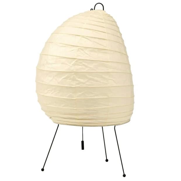 이사무 노구치 아카리 1N