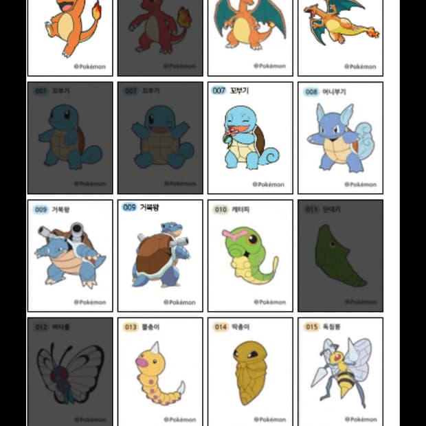 포켓몬스터 띠부실 1,2세대