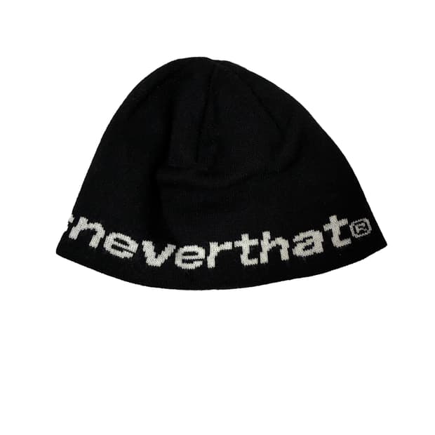 디스이즈네버댓 비니