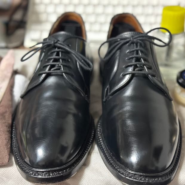 버윅 5341 코도반 더비슈즈 uk8 사이즈 판매합니다