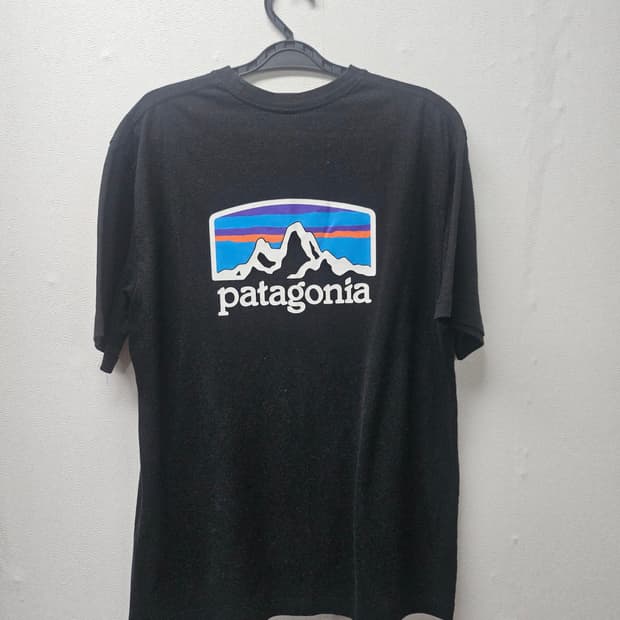 파타고니아 피츠 로이 호라이즌 리스폰시빌리티 블랙 L