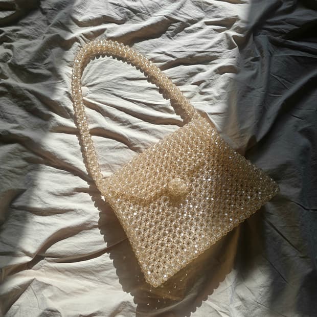 반짝이는 샴페인 톤 비즈백