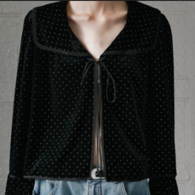 비아플레인 벨벳 도트 블라우스