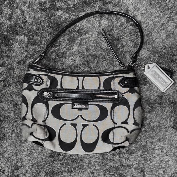 코치 빈티지 호보백