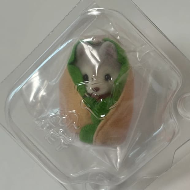 실바니안 쿠지 G상 허스키 핫도그 딜리셔스퍼레이드