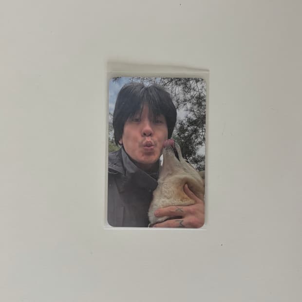 바밍타이거 무빙포워드 특전 포카 원진
