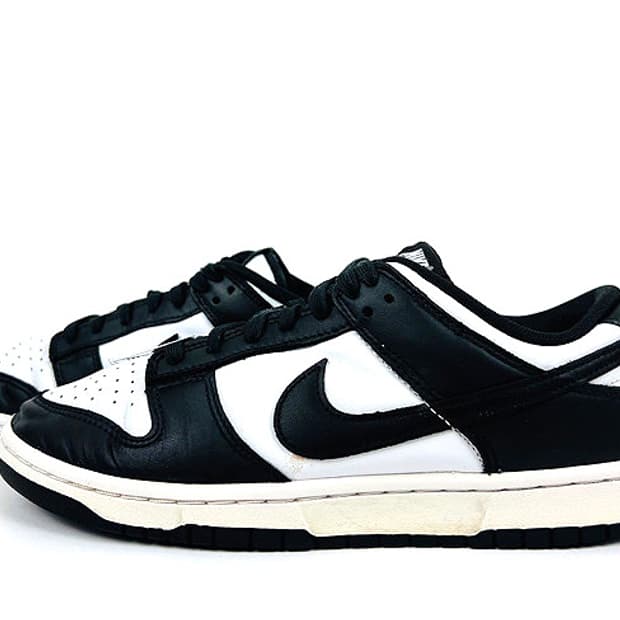 (270) 나이키 덩크로우 레트로