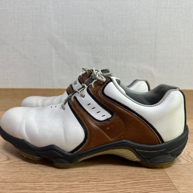 풋조이 골프화 265