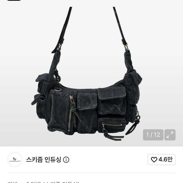 스키즘인듀싱 카고 백