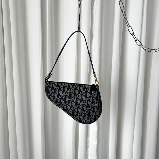 디올 오블리크 새들백