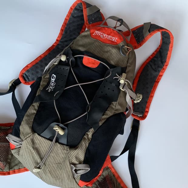 잔스포츠(JanSport) 2010 데드스탁