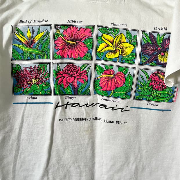 90s hawaii vintage - M