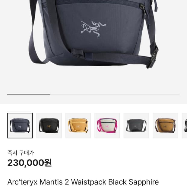 아크테릭스 맨티스 2 웨이스트팩 블랙 사파이어