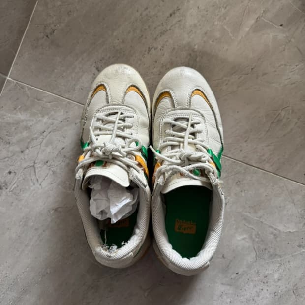 오니츠카타이거 245