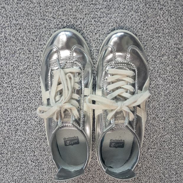 오니츠카타이거 240