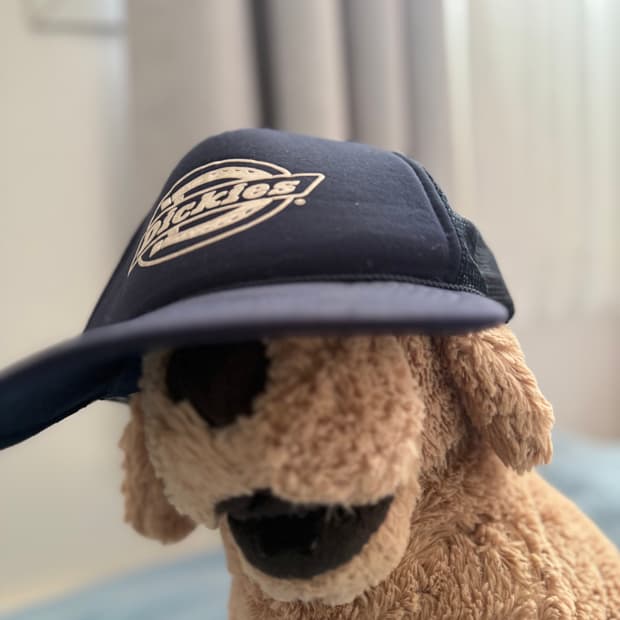 Unique dickies 디키즈 캡