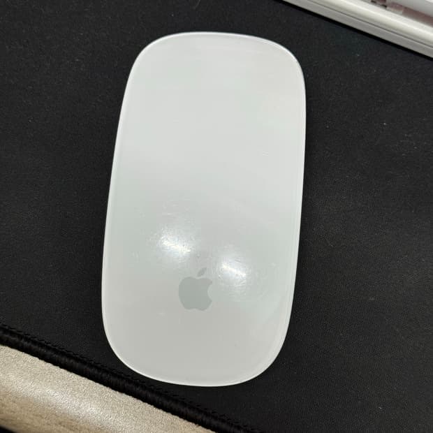 애플 매직마우스 2세대 본품 단독 판매