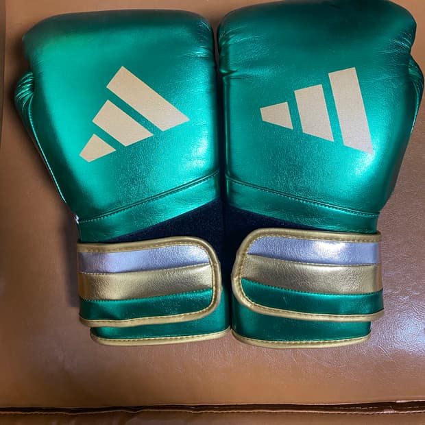 복싱 글러브 아디스피드 501 16oz