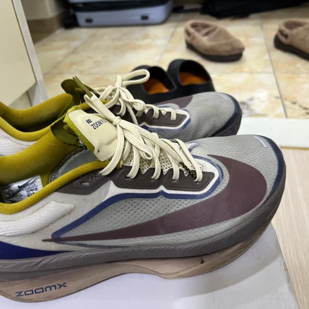 나이키 줌플라이6 290