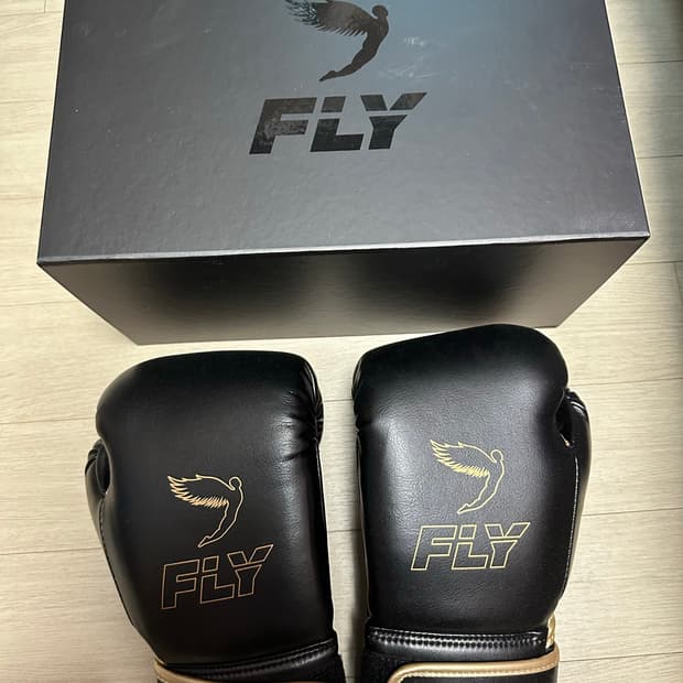 플라이 복싱글러브 10oz