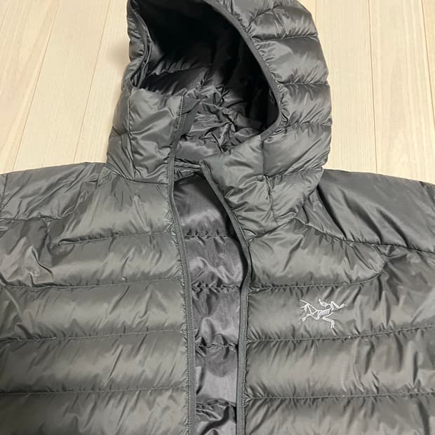 아크테릭스 세륨 후디 m black 