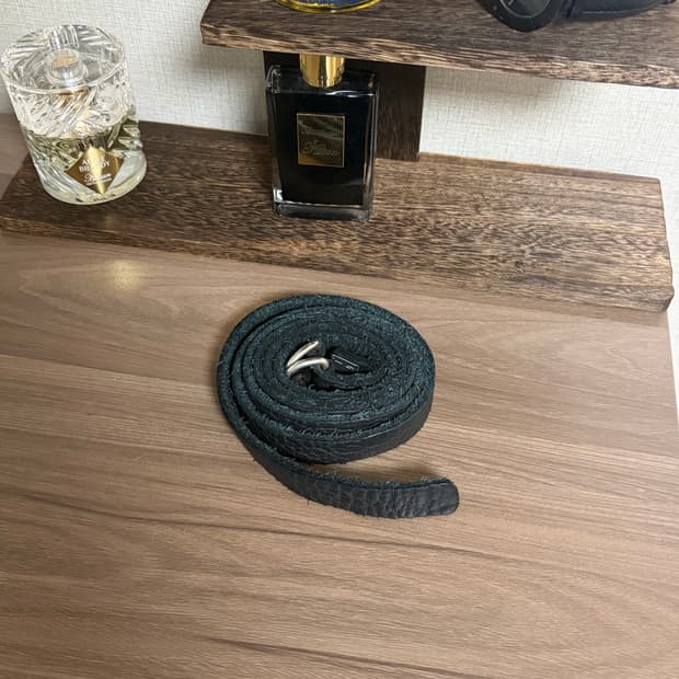 Guidi belt