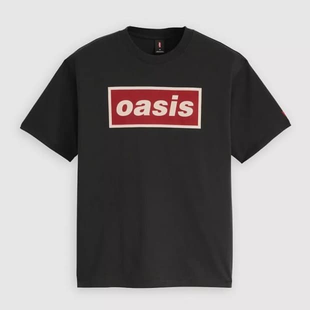 리바이스 오아시스 데카티 L